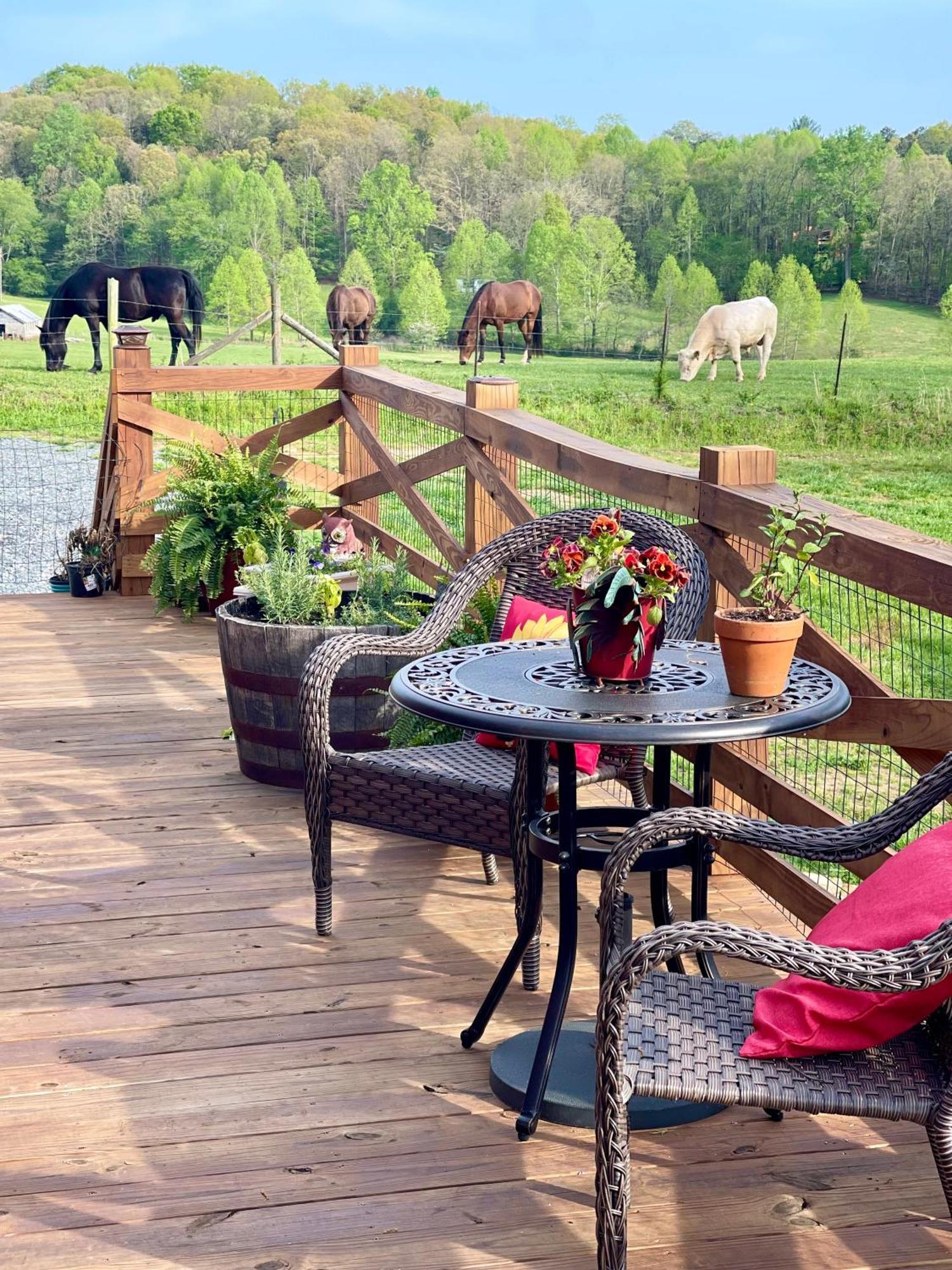 The Dogwood Inn Blue Ridge Eksteriør bilde